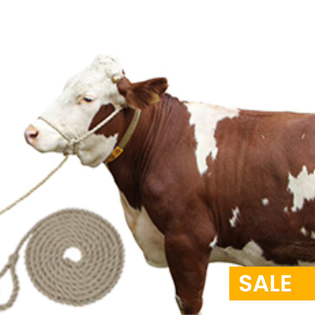 6585e14d-4ada-ee11-904e-000d3ab9f057